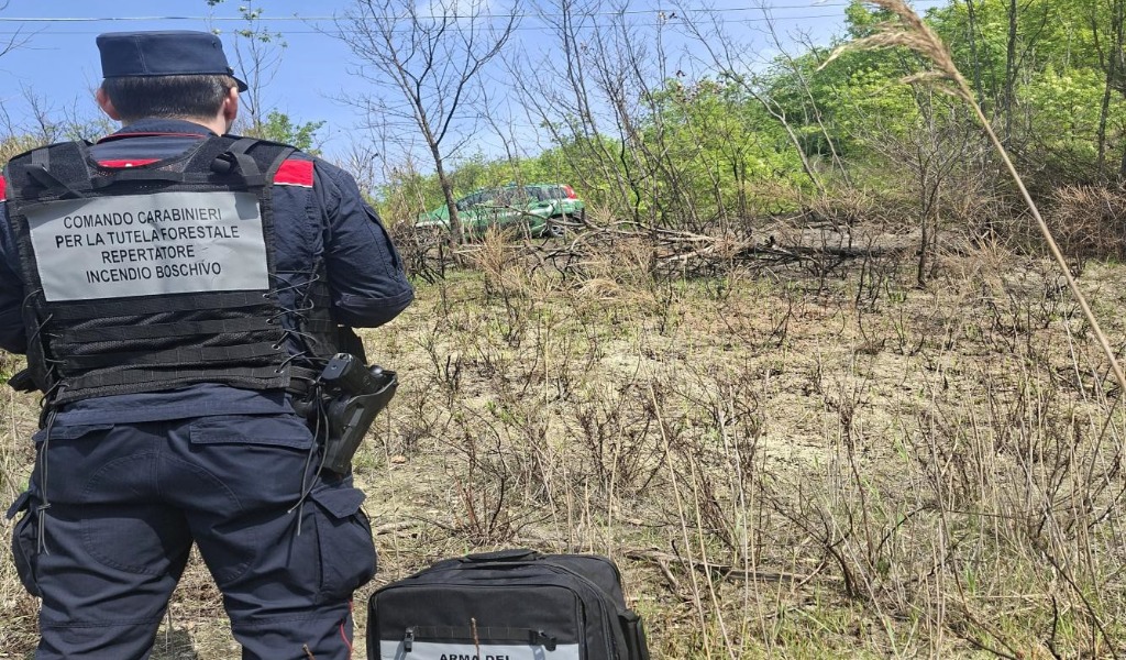 Un “abbruciamento” sfugge al controllo: distrutti dalle fiamme 1500metri quadrati di bosco