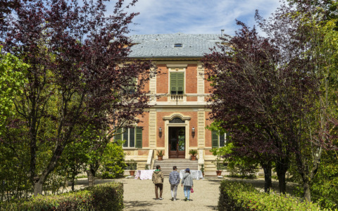 Cosa fare a Pavia e provincia nel weekend: eventi di sabato 9 e domenica 10 maggio 2026