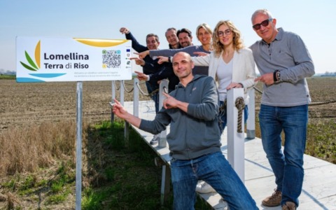 Lomellina, nasce il marchio collettivo del riso: sette aziende uniscono identità, filiera e territorio