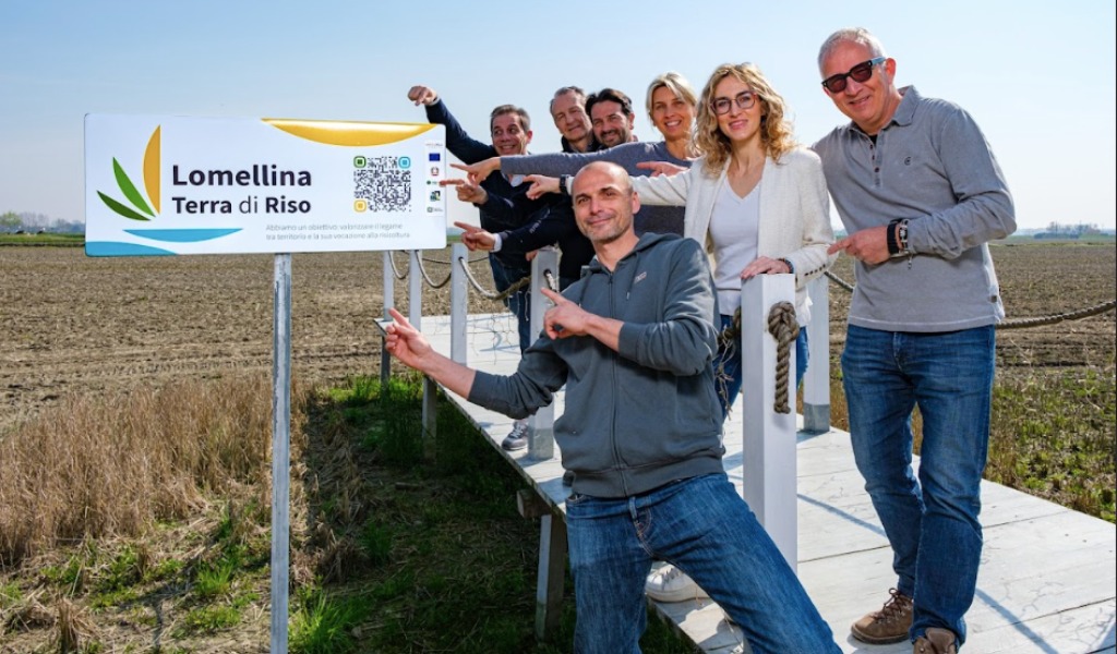 Lomellina, nasce il marchio collettivo del riso: sette aziende uniscono identità, filiera e territorio