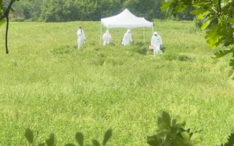 Elisa Giugno, morta a 22 anni in fondo a un dirupo a Cecima: non escluso l’omicidio