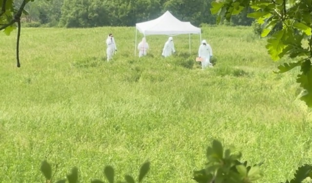 Elisa Giugno, morta a 22 anni in fondo a un dirupo a Cecima: non escluso l’omicidio