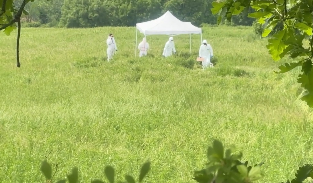 Elisa Giugno, morta a 22 anni in fondo a un dirupo a Cecima: non escluso l’omicidio