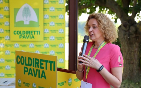 Riso, l’offensiva di Pavia a Bruxelles: “Basta importazioni selvagge, serve la clausola salva-agricoltori”