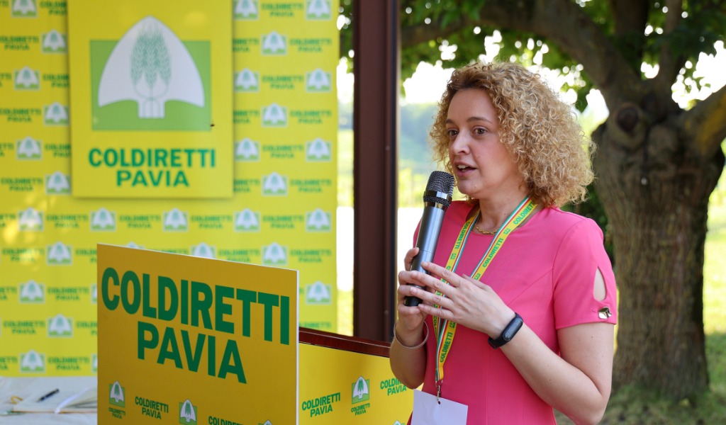 Riso, l’offensiva di Pavia a Bruxelles: “Basta importazioni selvagge, serve la clausola salva-agricoltori”