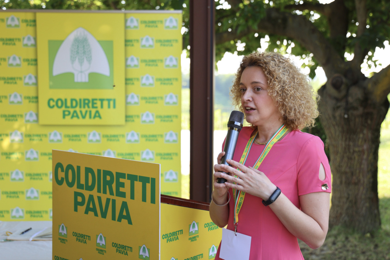 Riso, allarme Coldiretti Pavia: quotazioni dimezzate e costi di produzione insostenibili