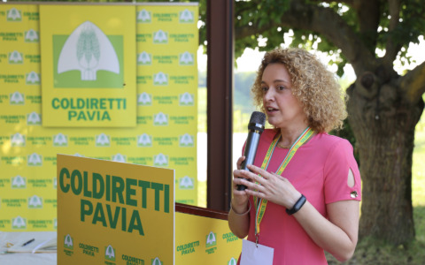Riso, allarme Coldiretti Pavia: quotazioni dimezzate e costi di produzione insostenibili