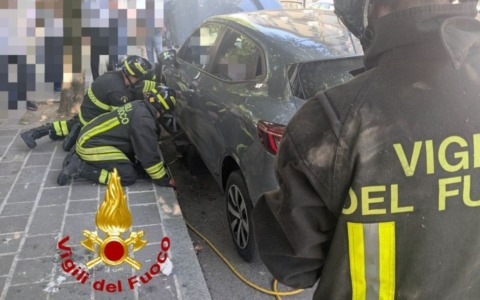 Due gattini intrappolati nel vano motore di un’auto parcheggiata: salvati dai Vigili del Fuoco