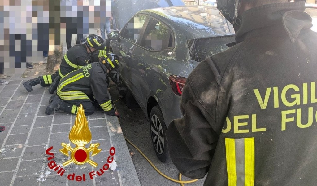 Due gattini intrappolati nel vano motore di un’auto parcheggiata: salvati dai Vigili del Fuoco