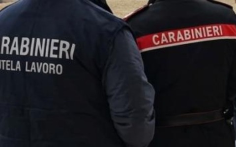 Scoperta a Vigevano pensione per cani abusiva: attività sospesa e struttura posta sotto fermo sanitario