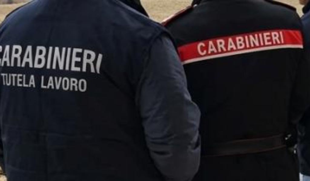 Scoperta a Vigevano pensione per cani abusiva: attività sospesa e struttura posta sotto fermo sanitario
