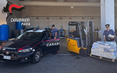 Colpo al polo Mondadori: il muletto aziendale usato per rubare i libri, quattro dipendenti in manette
