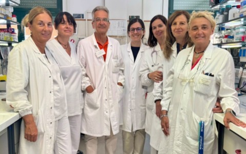 PFAS, nuovo studio dell’Università di Pavia: possibili effetti sulla tiroide e sullo sviluppo del cervello