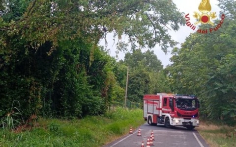 Ondata di maltempo: quasi cinquanta interventi dei Vigili del Fuoco