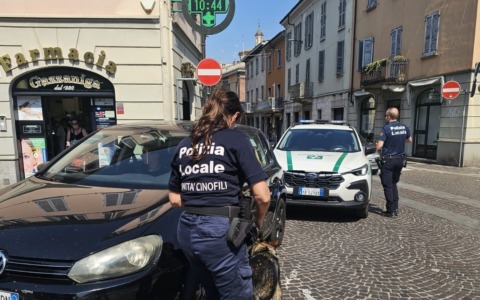 Controlli rafforzati della Polizia Locale: sequestri, sanzioni e ordini di allontanamento in città