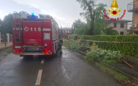 Violento temporale su Pavia e provincia: crollano 30 alberi, strade chiuse e treni in tilt