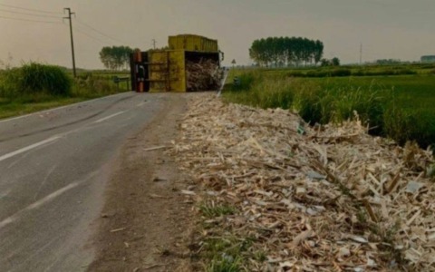 Carico disperso sulla SS 596 dei Cairoli, traffico bloccato a Robbio