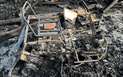 Incendio distrugge il campo cinofilo Urban Dogs a Filighera: avviata una raccolta fondi