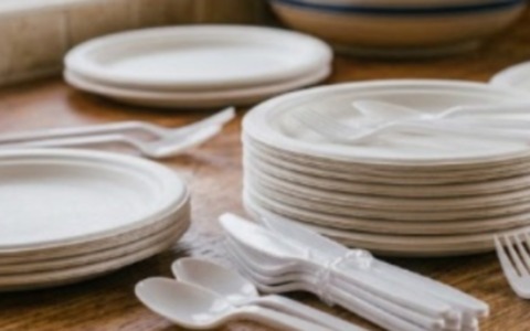 Ritirato un lotto di piatti in plastica per migrazione di sostanze negli alimenti