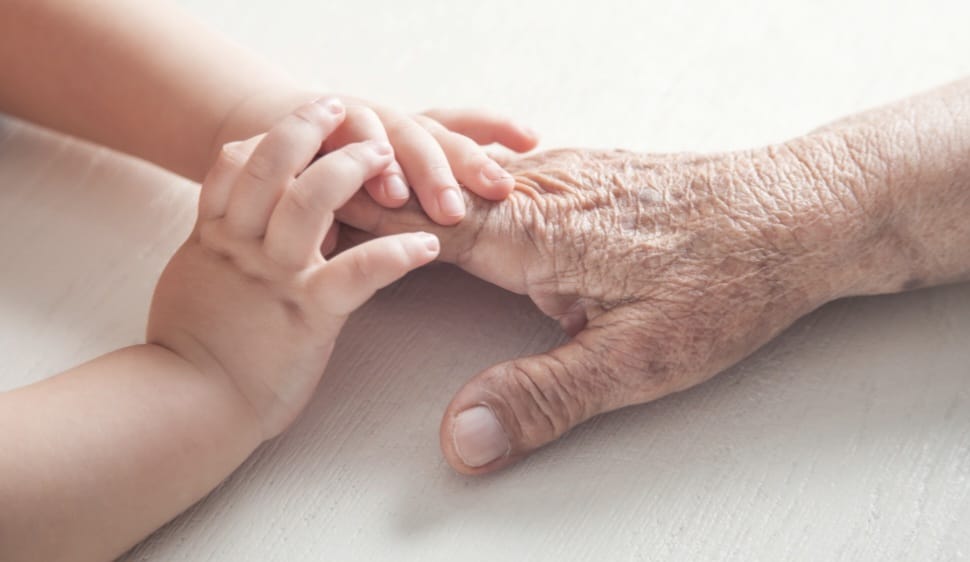 Festa dei Nonni 2026 nel Pavese: due giornate per promuovere l’attività motoria