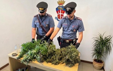 Odore di marijuana dalla finestra: i Carabinieri scoprono piantagione in giardino, sequestrato un chilo di droga