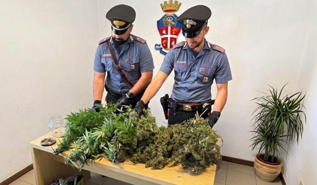 Odore di marijuana dalla finestra: i Carabinieri scoprono piantagione in giardino, sequestrato un chilo di droga