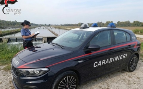 Maxi furto di storioni da ventimila euro a Gravellona Lomellina, individuate e denunciate cinque persone
