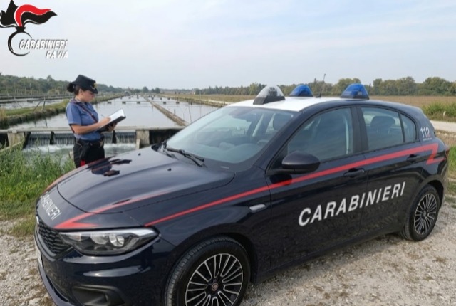 Maxi furto di storioni da ventimila euro a Gravellona Lomellina, individuate e denunciate cinque persone