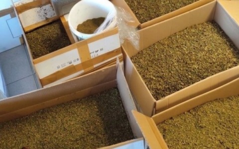 Centrale di spaccio in Lomellina: sequestrati 53 chili di marijuana, tre arresti